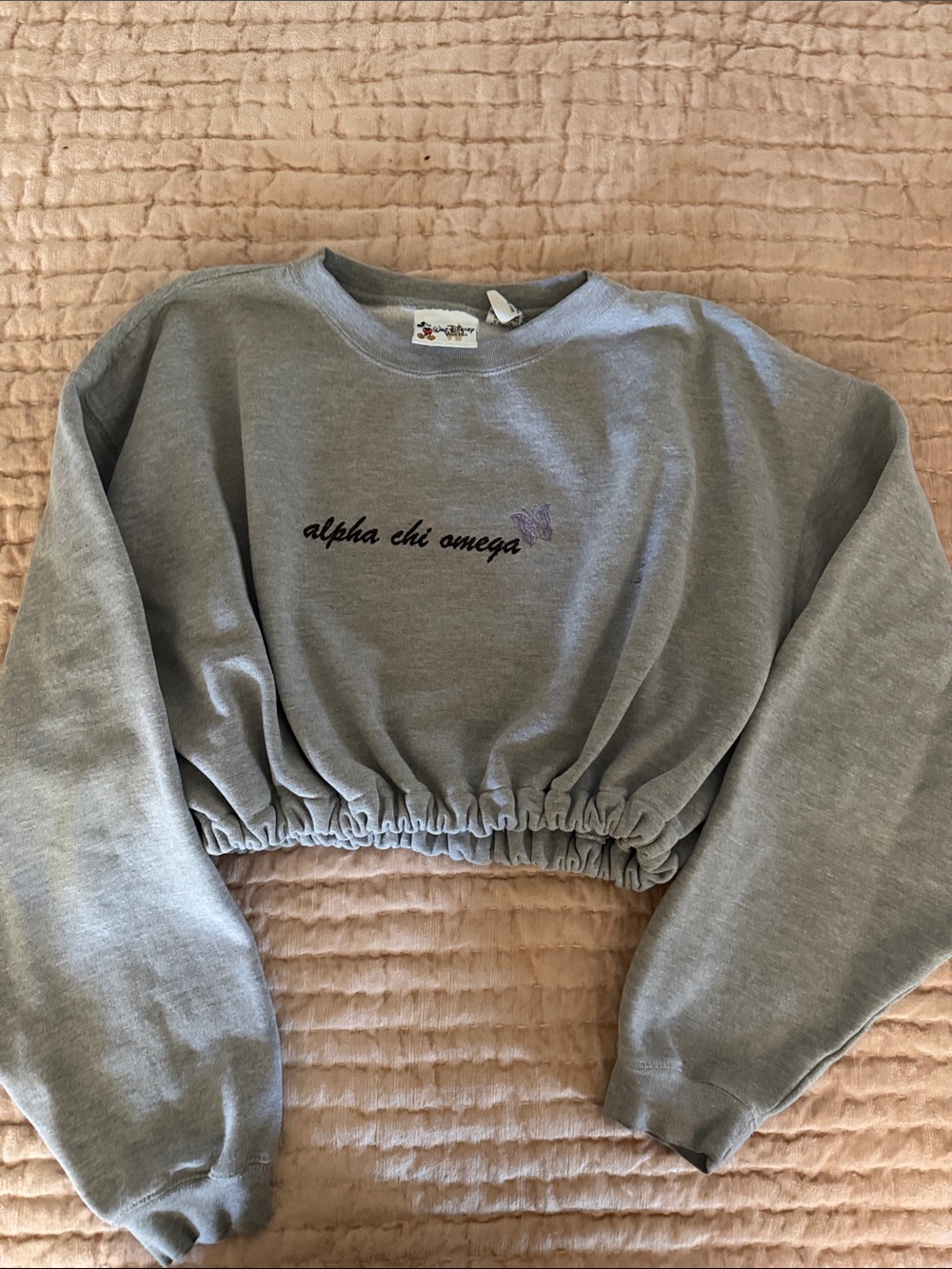 Disney Gray Tee with Classic Mickey Tag cropped xxl Alpha Chi sweatshirt